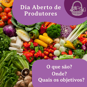 5 Dias Abertos de Produtores